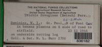 Image Associated With the Occurence